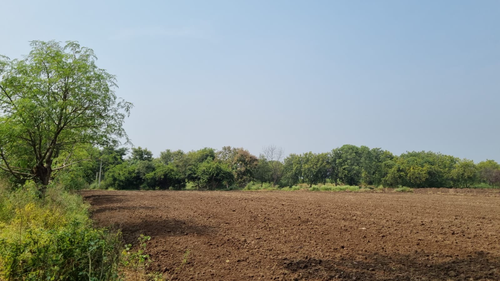 10 Acre Land for Sale Bodhegaon-Shevgaon Road, Ahmednagar