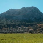 2 acre agriculture land for sale in sulibhanjan aurangabad